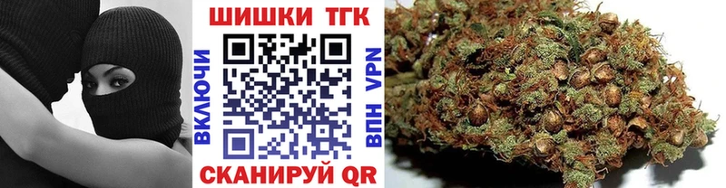 Конопля конопля Энем