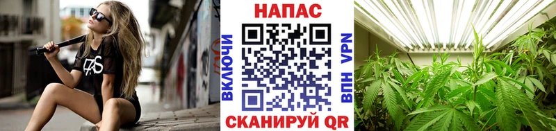 OMG ССЫЛКА Энем Марихуана SATIVA & INDICA где можно купить наркотик